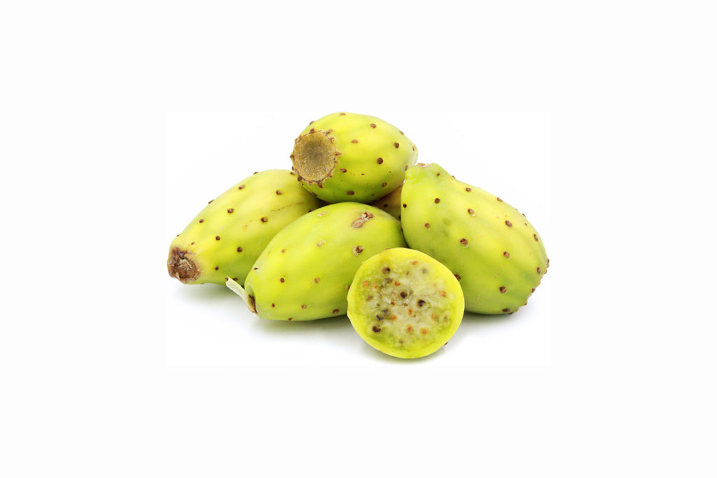 Tunas Carlos Hidalgo